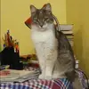 Отзыв от Оля Корнева